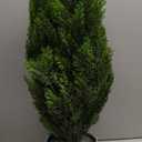 4FT Artificial Cedar Topiary Tree Lifelike Faux Cedar Pines Christmas Trees UV Rated Faux Shrubs Everygreen Plants for Front Porch Outdoor Decor Set of 2