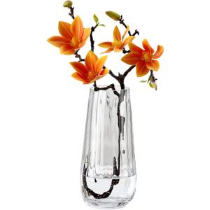 Modern Glass Vase Crystal Clear H-9.8" Cute Tall Flower Vases for Bouquet Farmhouse Home Office Decor Centerpieces(Clear)