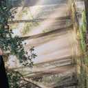 Bruarteli Forest Scenery Canvas Wall Art 40"x20"