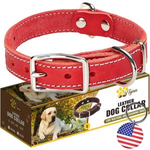 Heavy Duty Red Leather Dog Collar for Small Dogs- Soft and Strong Dog Collar for Puppy (Small: Fit 10" - 14.5" Neck, Red)