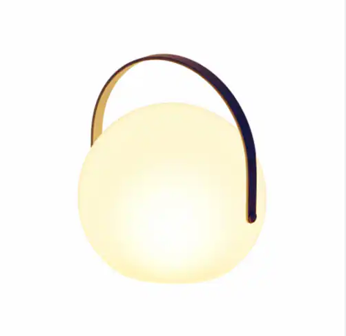 Globe Indoor/ Outdoor Lantern