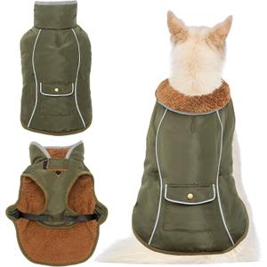 Dog Winter Coat with Leash Hole, Windproof Jacket for Cold Weather, Large