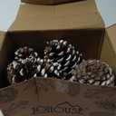 JOHOUSE 12PCS Large Snow-Dusted Pine Cones (3.55 in)  Natural Big Pinecones for Christmas Tree Ornaments, Wreath Making, Bowl Fillers, DIY Crafts & Winter Vase Filler