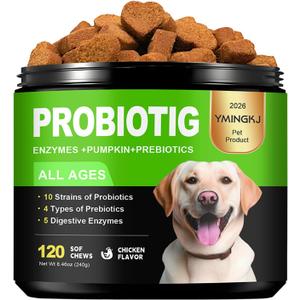 Probiotics for Dogs - Dog Probiotics & Enzymes 12 Billion CFU 10 Strains, Psyllium Husk, Apple Cider Vinegar Gut Health, Bloating Relief, Regularity Support 120 Chews
