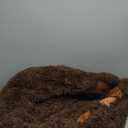 Cute Dog Bed Medium Size Dogs Beds Couch Pet Bed with Washable Removable Cover Egg Crate Foam Waterproof Orthopedic Dog Beds(Khaki,L)