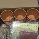 Cinrobiye 50 Sets Let Love Grow Wedding Favors for Guests Seed Packet Bags (Seed Not Include) with Tags & Labels Flowerpot for Bridal Shower Party Favors Bulk Wedding Souvenirs for Guests(Daisy)