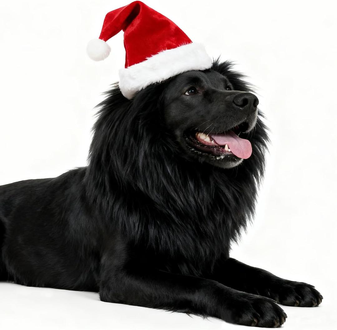 Dog Christmas Costume Funny Adjustable Wig Pet Costumes with Santa Hat for Medium Large Dogs Halloween Christmas Outfit, Black