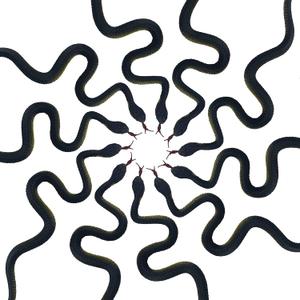 Realistic Snake Toy, 10 PCS Lifelike Snake, Gag Gift for Halloween, April Fool's Day, Party Decoration (Black)