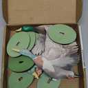 FYSUIMU 8Pcs Mallard Wood Table Centerpiece Watercolor Duck Tabletop Detachable Sign Tiered Tray Decor for Hunting Baby Shower Gender Reveal Birthday Photo Props Party Favor Supplies
