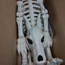 Crazy Bonez Skeleton Dog - Badger Bonez