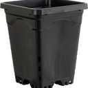 Active Aqua HG6X6SB 6"x6" (Case of 50), 8", Black Square Pot, 6" X 6"