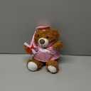 Foilswirl Graduation Bear 2026 with Gown Cap Tassel 9 Pink Graduation Stuffed Animal Plush Bear Toy for Class of 2026 Prek Preschool Kindergarten High School College Graduate Gift