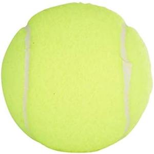Penn Championship Tennis Balls - Extra Duty Felt Pressurized Tennis Balls 12 Total Count(Pack of 4)