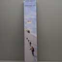 ALEVMOOM Folding Walking Cane with seat for Men & Women,2-in-1 Adjustable Portable Cane Chair,Walking Stick with Seat for Seniors & Adults,Crutches Stool with Carry Bag for Hiking Traveling (New Black)