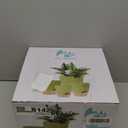 Plant Pots 10/9/8/7.5/7 Inch Self Watering Pots, Set of 5 Plastic Planters with Drainage Holes and Saucers,Plastic Flower Pots,Nursery Planting Pot for Indoor Out Door PlantsGreen