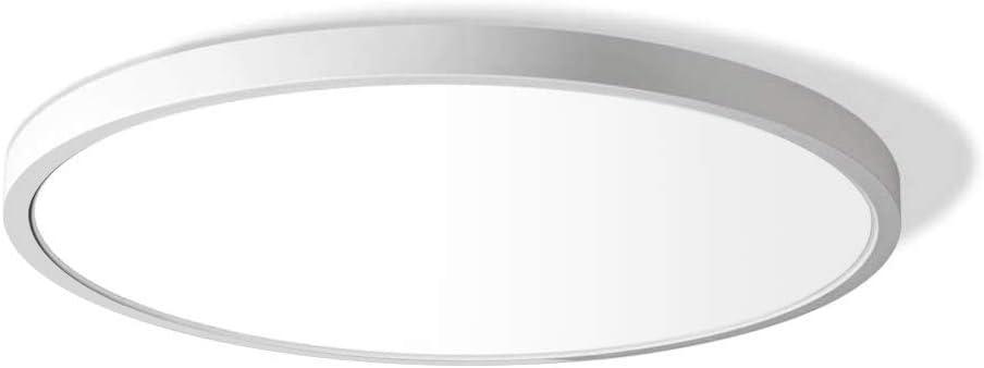 LightingWill 12 Inch LED Flush Mount Ceiling Light Fixture, 2800K Warm White, 3200LM, 24W, Flat Modern Round Lighting Fixture, 240W Equivalent White Ceiling Lamp for Kitchens, Bedrooms.etc.