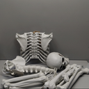 5.4ft Halloween Posable Skeleton Realistic Life Size Human Skeleton Bones with Movable Joints for Halloween Haunted House Indoor Outdoor Decor (1Piece)