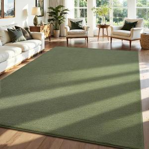 ISEAU 6x9 Soft Area Rug for Living Room, Washable and Non-Slip,Green