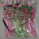 25 PCS Wicked Party Drinking Straws, Princess and Witch Theme Reusable Plastic Loop Drinking Straws with 2 Cleaning Brushes Pink and Green Birthday Favors Decorations