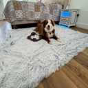 PJYuCien Dog Blanket for Medium Large Dogs, Large Pet Blankets with Reversible Fleece, 60"x50" Washable Calming Pet Throw for Couch/Bed, Grey, Indoor