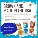 The Good Bean Crunchy Chickpeas - Sea Salt - (10 Pack) 1.4 oz Packet - Roasted Chickpea Beans - Vegan Snack with Good Source of Plant Protein and Fiber (EXP 01/15/27)