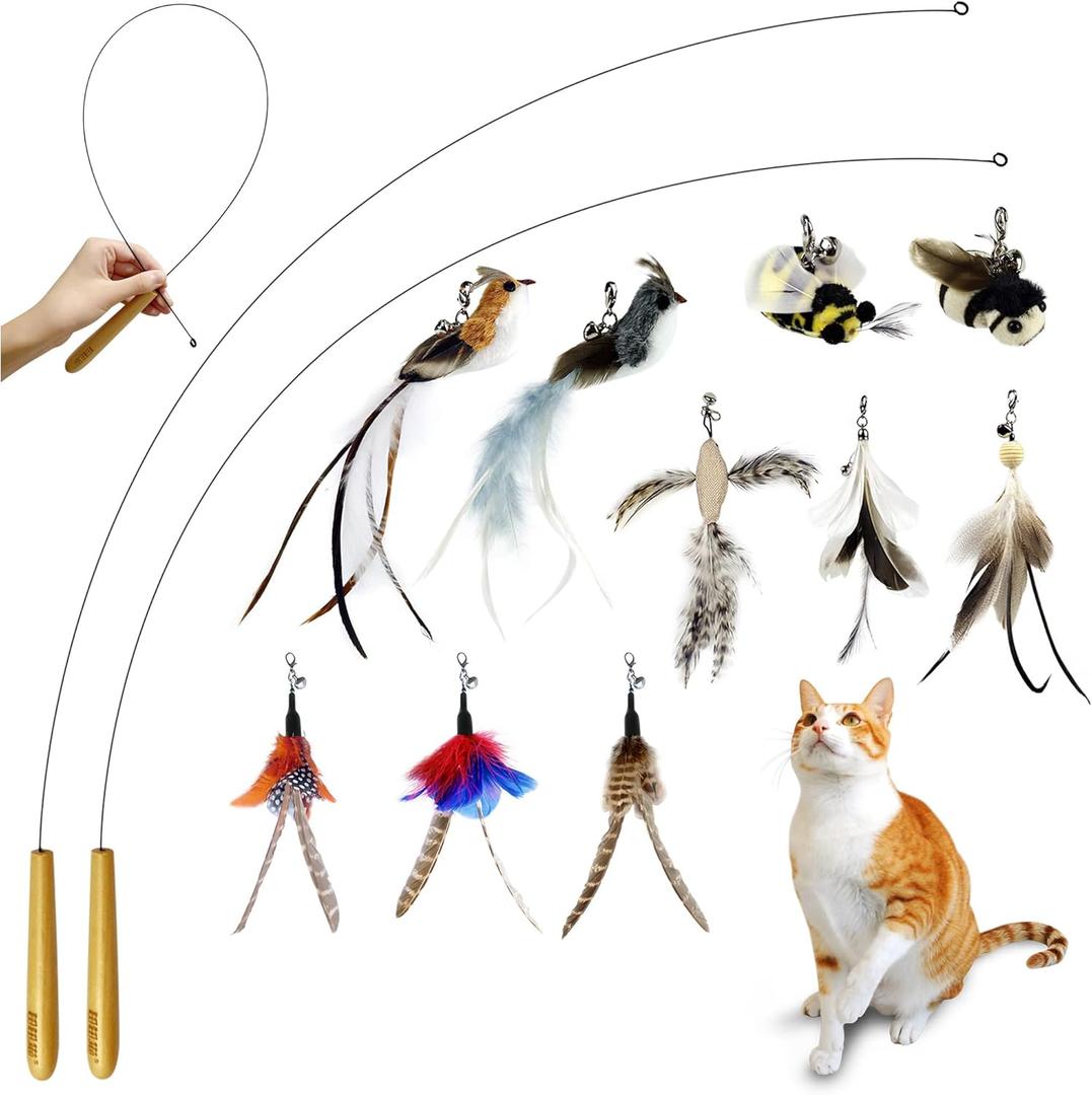 Interactive Bird & Insect Simulation Cat Toy Set - 10 Pcs Feather Refills & 2 Pcs Cat Wand Toy, 29'' Flexible Steel Wire, Sturdy Wood Handle & Bell, For Indoor Kittens (Cat Wands(10 Refillls))