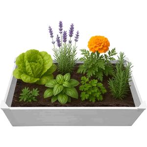 Raised Garden Bed - 2x4 ft Planter Box - White HDPE - No Tools Needed - DIY Kit for Urban Gardening, Flowers, Herbs & Vegetables - Made in The USA