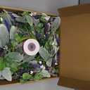 6 Pcs Mini Lavender Hanging Wreaths Purple Daisy Candle Rings Pillar Holder Wreath Wild Flower Spring Summer Floral Wreaths for Farmhouse Porch Front Door Cabinets Window