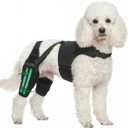 Dog Knee Braces for Back Leg Support,ACL/CCL Brace for Small Dogs,XS | Adjustable Dogs Brace for ACL Tear with 4 Stabilizers, Hip Support to Reduces Pain, Ligament Injuries & Luxating Patella, XS