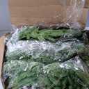 8 Pcs 14" Christmas DIY Green Wreath Artificial Wreath, Norfolk Pine
