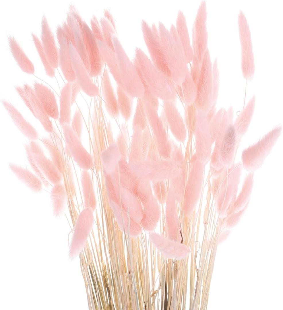 MECCANIXITY 120pcs Natural Rabbit Bunny Tails Dried Flowers 24" Mini Pampas Grass Lagurus Ovatus Bunch for Floral Wedding Decor Christmas, Pink