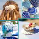 36 PCS Clam Shells for Crafts,2.4''-2.8'' Natural Scallop Shells,Large Seashells for Crafts,Themed Party and Home Decor