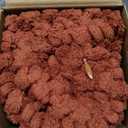 Kevin Textile Fall Set of 2 Striped Textured Velvet Corduroy Decorative Europe Sham Seasonal Autumn Throw Pillow Cushion Cover for Couch (60x60 cm 24 Inch) Burnt Brick