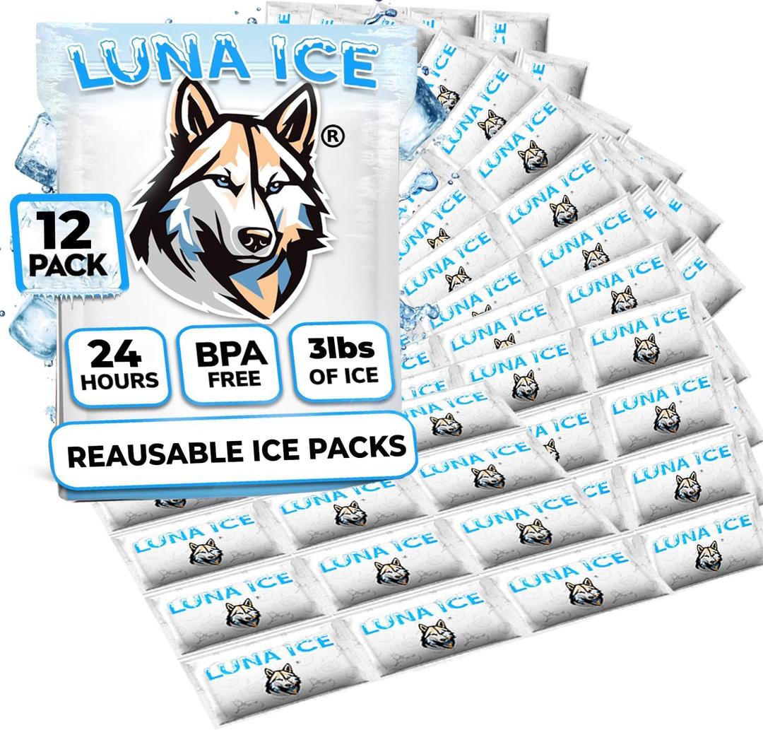 Dry Ice Packs for Shipping - Long Lasting ice Packs - 24+ Hour Freeze Power - BPA Free - 12 Pack Bulk 3 lb  Hielo Seco - Reusable Gel Bricks for Food (Medium)