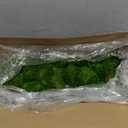 Preserved Pole Moss Pillow Bun Cushion Natural Green Decorative Real Natural Green DIY Kit Terrariums Gardenning Art Wall Decor Florist Decor Easter Table Wedding(1.5 sq.ft, Green-B)