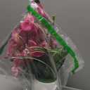 W&W Artificial Orchid Plants and Flowers with Vase, Fake Faux Orchid in Ceramic Pot,19, Pink