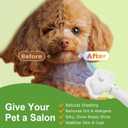 Professional Pet Grooming Dryer Brush 3-in-1 Dog Blow Dryer with Slicker Brush, Adjustable Temp, Overheat Safe, Salon Quality