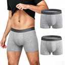 BATTEWA Mens Incontinence Underwear Washable, Leak Proof Underwear for Men,with Front Absorbency Area for Urine Leakage Protective 50ml. (Large, 2 Gray)