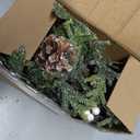 6FT Snowy Christmas Garland with Lights, Pre-Lit Garland with 20 Warm White LED, Pine Cones White Berries & Ornaments, Battery Operated or USB Plug-in, Winter Greenery for Indoor/Outdoor Decor