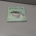 DIY Individual Lashes Clusters Kit,240pcs Lash Clusters Eyelash Extension Kit with Cluster Lash Glue and Lash Tweezer D Curl Lash Extension Kit False Eyelash Cluster Kit At Home(0.07D, 10-15mm)