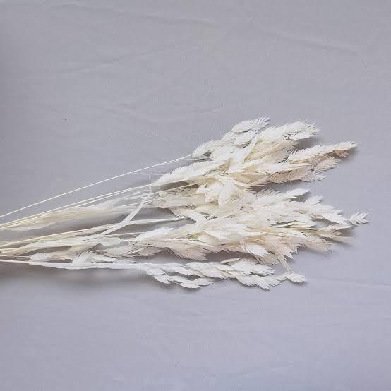 Dried Grass Bundle, 20 Stems 15-17 Inch Natural Chasmanthium Flower Bouquet for Vase, DIY Floral Arrangements, Weddings Party Home Baby Shower Elegant Decor  