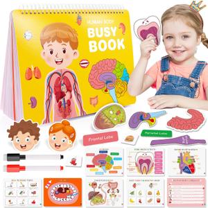 MDINGTD Preschool Montessori Human Body Busy Book for Kids Ages 4-8 - Birthday Gifts for Boys Girls - Kindergarten Learning Activities Educational Toys - Travel Toys for 5-7 Year Olds