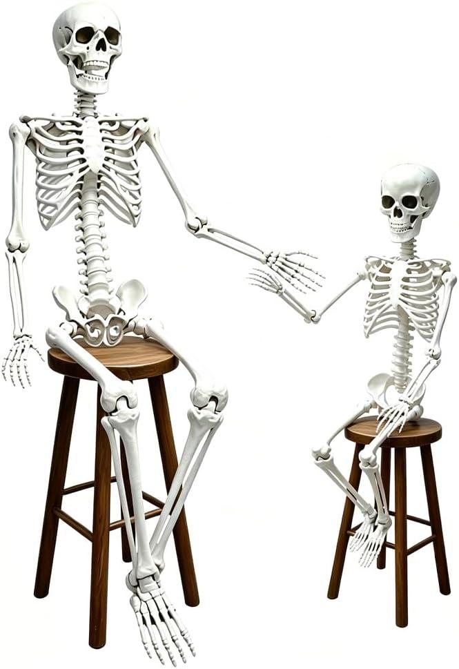 CAMIRUS 5.4ft Skeleton Halloween Decoration, Life Full Size Skeleton with Dog Skeleton, Posable Human Skeletons Realistic Plastic Bones for Halloween Haunted House Scary Decor