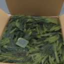 Christmas Decorations  6FT Artificial Norfolk Pine Greenery Garland, Real Touch Christmas Garland for Mantel, Staircase, Fireplace, Front Door, Indoor & Outdoor Holiday Decor (1, 6FT)