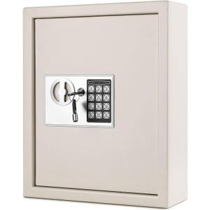 Flexzion Key Box Wall Mount With Code, Key Cabinet, Key Deposit Slot, 40 Key Holder Organizer Locker Case, Colored Key Tags Wall Mounted Lock Box For Keys Storage (Gray)