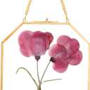 Pressed Flower Frames, Glass Floating Frames for Display Dried Plant Specimen Picture, Hanging Brass Photo Frame with Chain, Double Clear Glass, Vintage Wall Decor, Octagon, Gold, 8x10 Inches