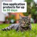 Amazon Basics Preventative Flea and Tick Topical Treatment for Cats (Over 1.5 lbs), Fast Acting and Long Lasting, 6 Count