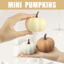 Artgar Foam Pumpkin Decor - 16 PCS Artificial Pumpkin Set - Fall Decor with Mini Pumpkins, Pinecones Maple Leaves Berries for Halloween Thanksgiving Fall Decor, DIY Crafts Tabletop Tray Decorations (Style-4)