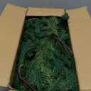 Hananona 9 Ft 2 Pcs Artificial Norfolk Pine Garlands, Realistic Pine Garland, Green Artificial Greenery Garland for Table, Mantle, Wall, Indoor, Outdoor Winter Christmas Decorations (2, 9 FT)