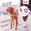 HALTI No Pull Harness - To Stop Your Dog Pulling on the Leash. Adjustable, Lightweight and Easy to Use. Reflective Dog Training Harness for Medium Dogs (Size M) (Black)